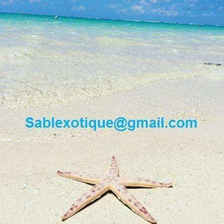 Sablexotique Apartment Pointe D'Esny Exterior photo